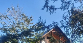 Фото Упрямая Шишига №6